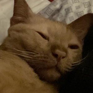 Meet your Posher, Calisa